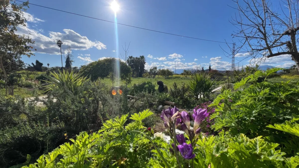 e9909d8e-522c-4370-a962-ebc186dc044e