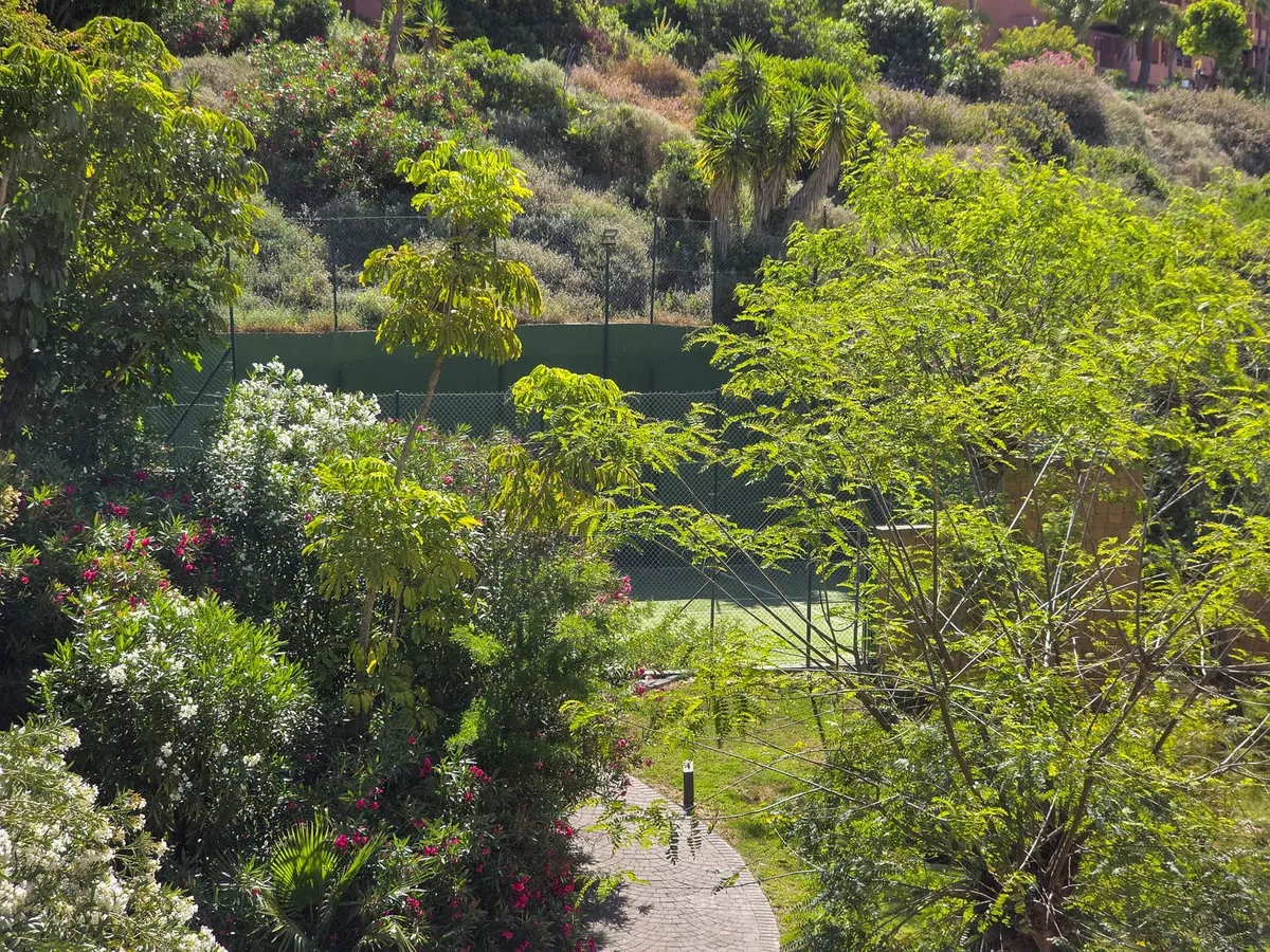 4405a234-9f51-4176-bbcb-fb79822bfa8f