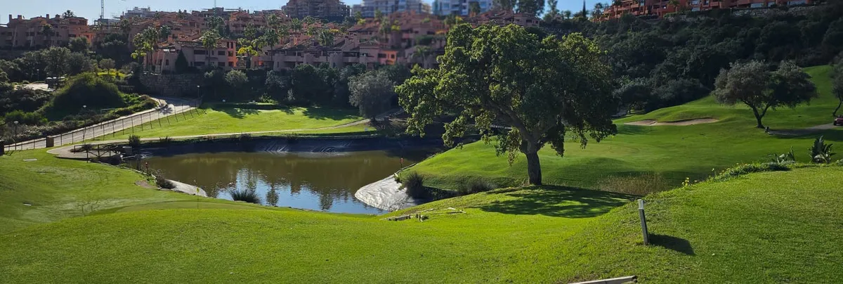 29f6e8cd-e56b-4942-ae57-e1e6fe5bf789