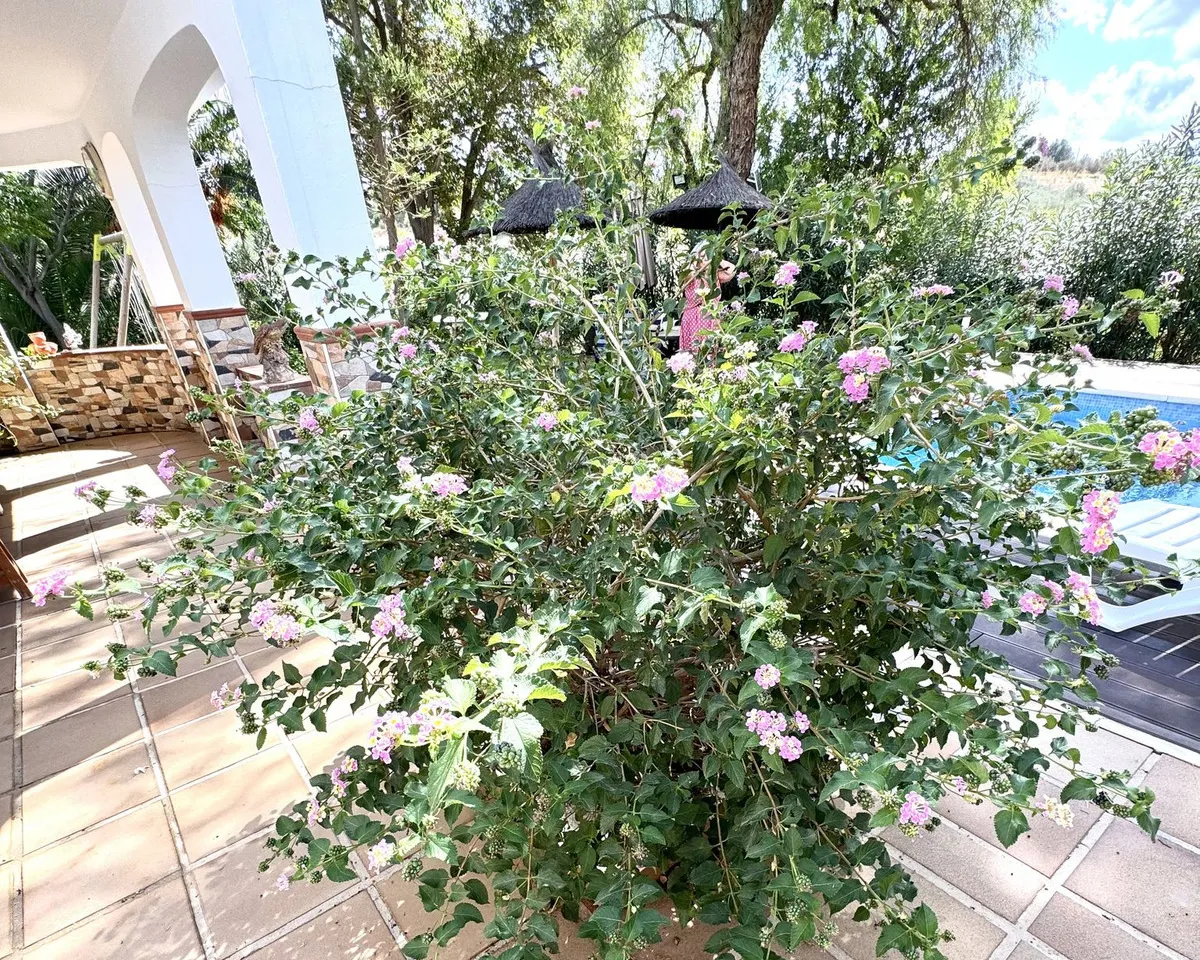 fecde421-8be3-4ad4-a3a0-fb2e6701044c