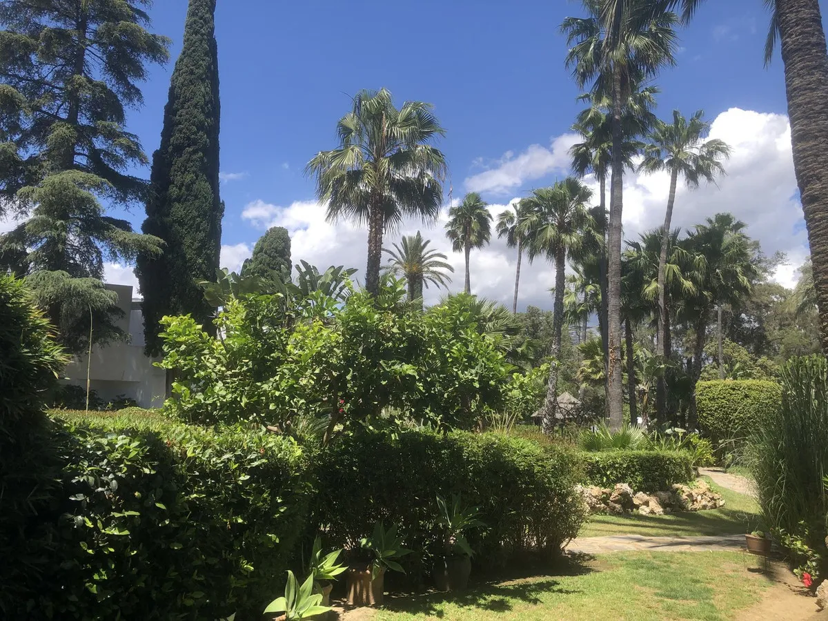 451aa03d-9bf2-4e9b-ab66-993f997e8b32