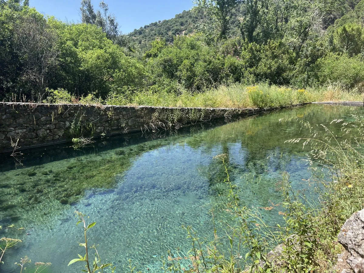 0f2cf694-e1f1-45d5-9c53-146ff9858e32