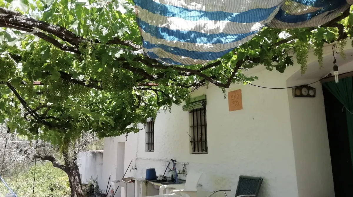 32e57536-7ceb-4404-b99e-bf54980c21f5