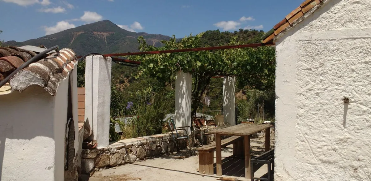 456cb4d1-391e-42b5-8921-67118c7f1ec6