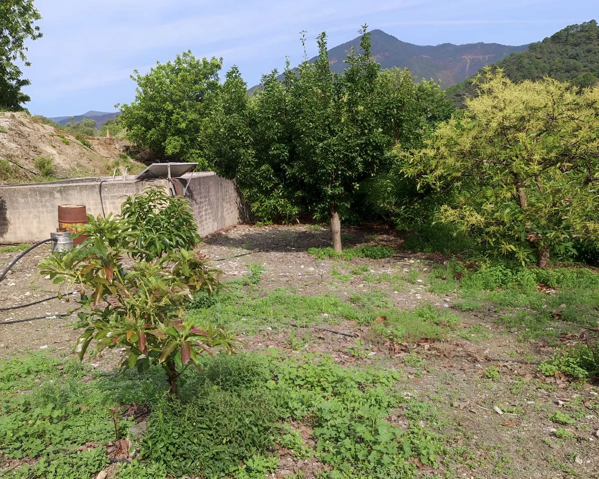 6fee55d2-e007-454a-8ebc-2bd8474efffd