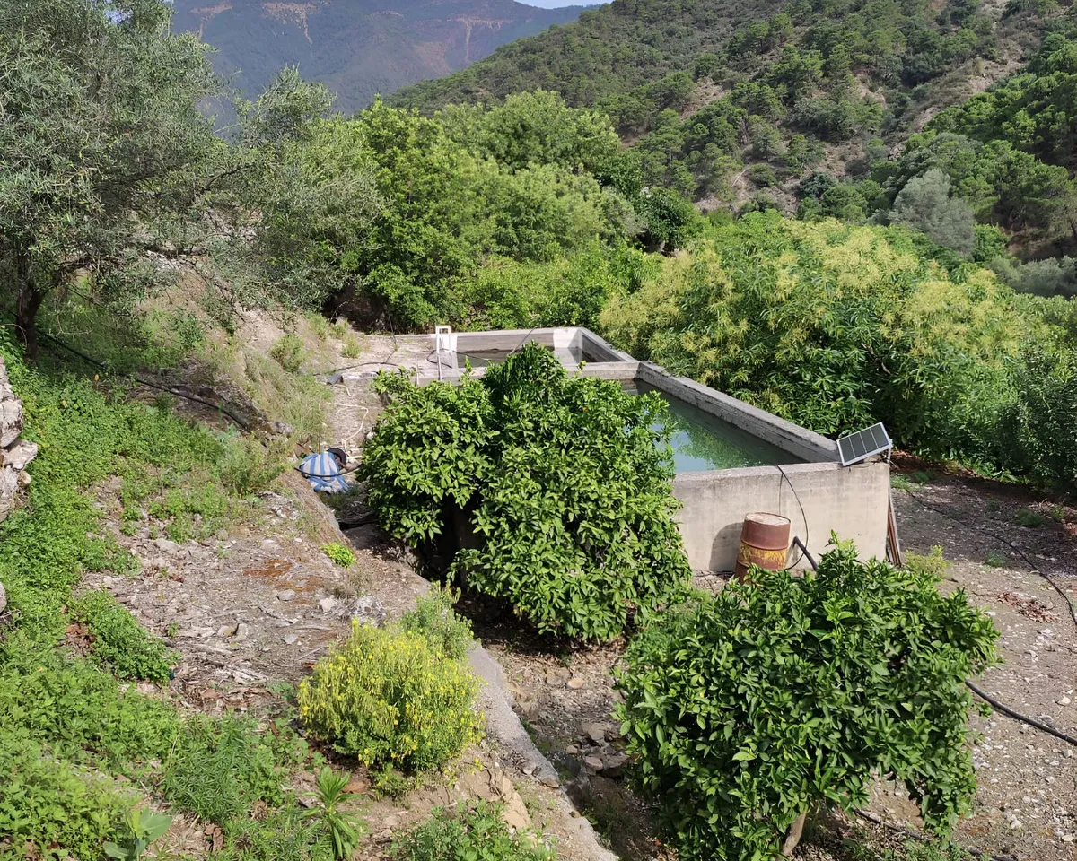 86751732-958c-477c-bdd3-026b87c29b6b