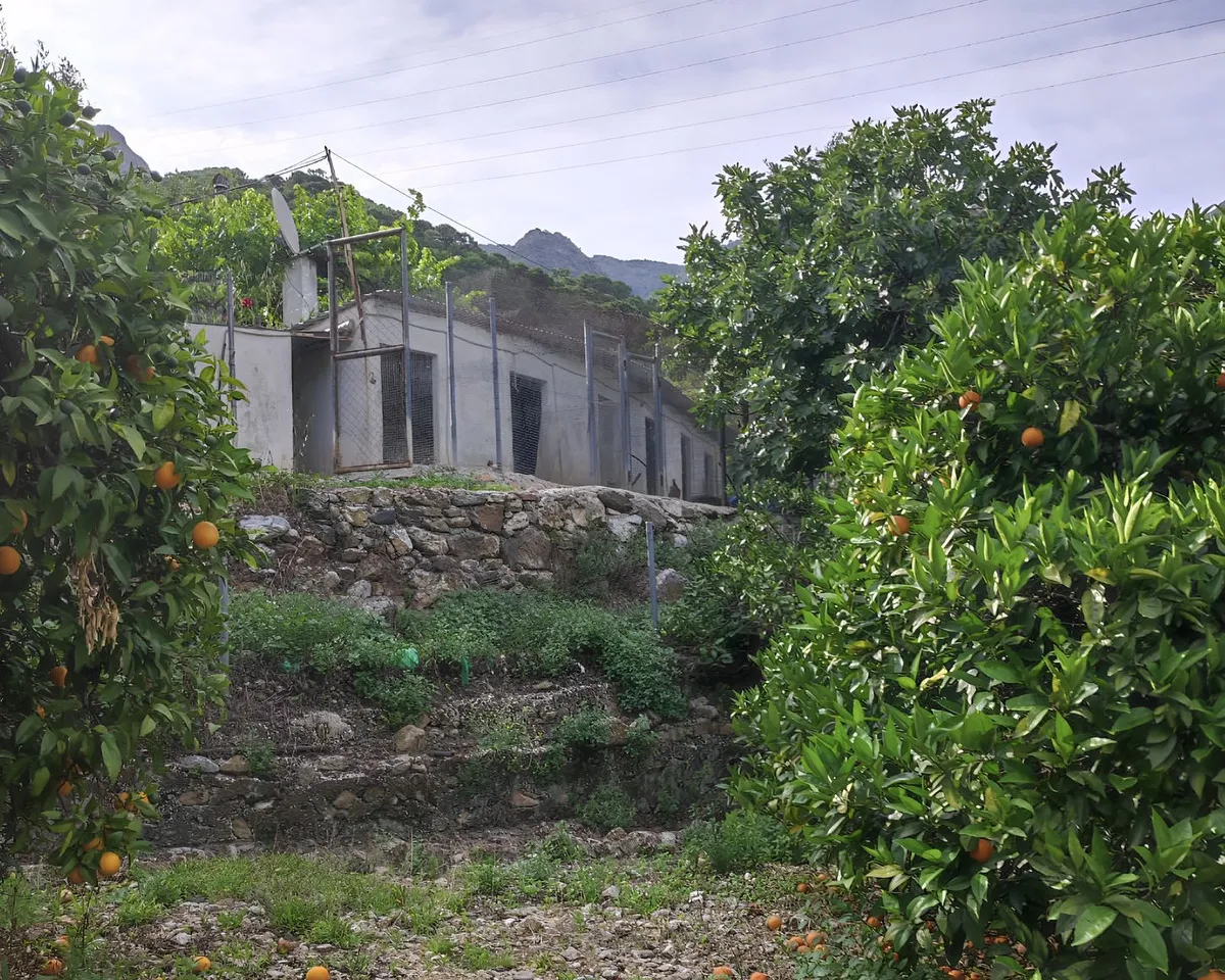 c62d80c3-63ef-4294-bae2-b8ee3e88ae80