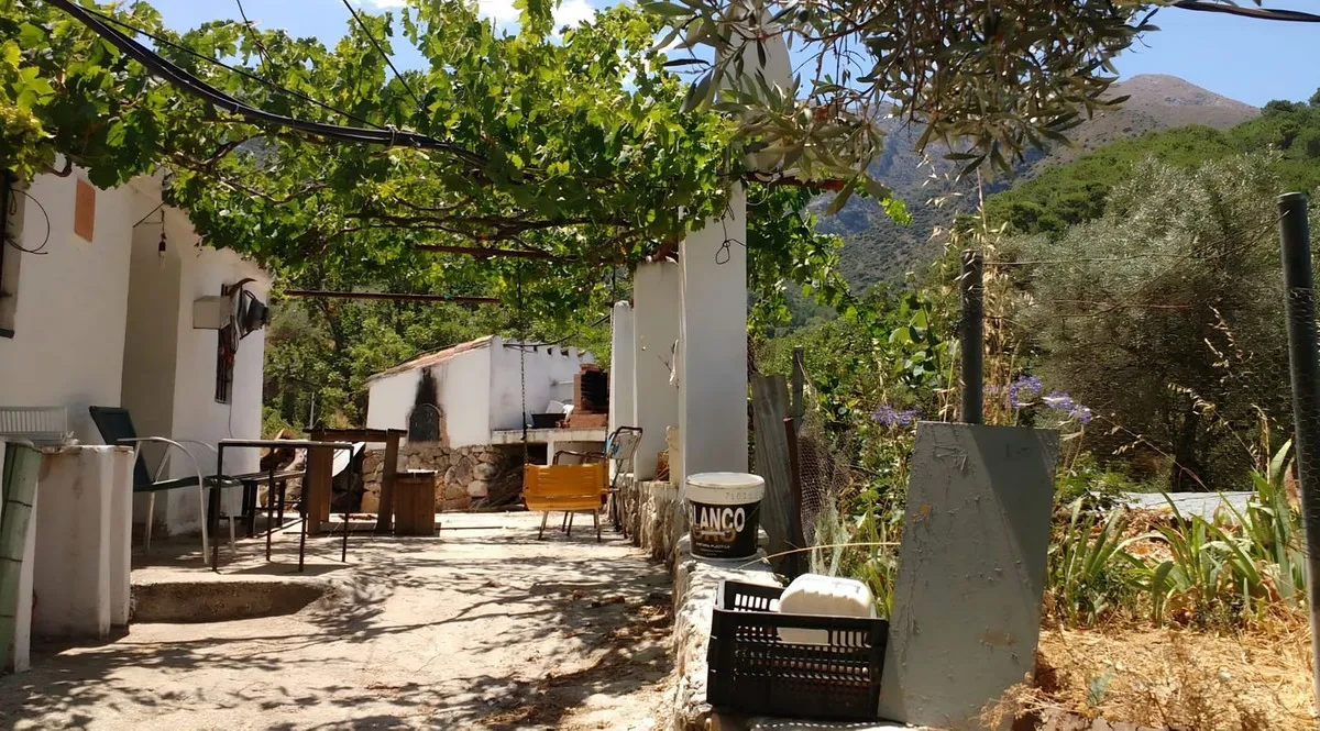 cb5dea12-b7fd-447d-a060-94071794b4eb