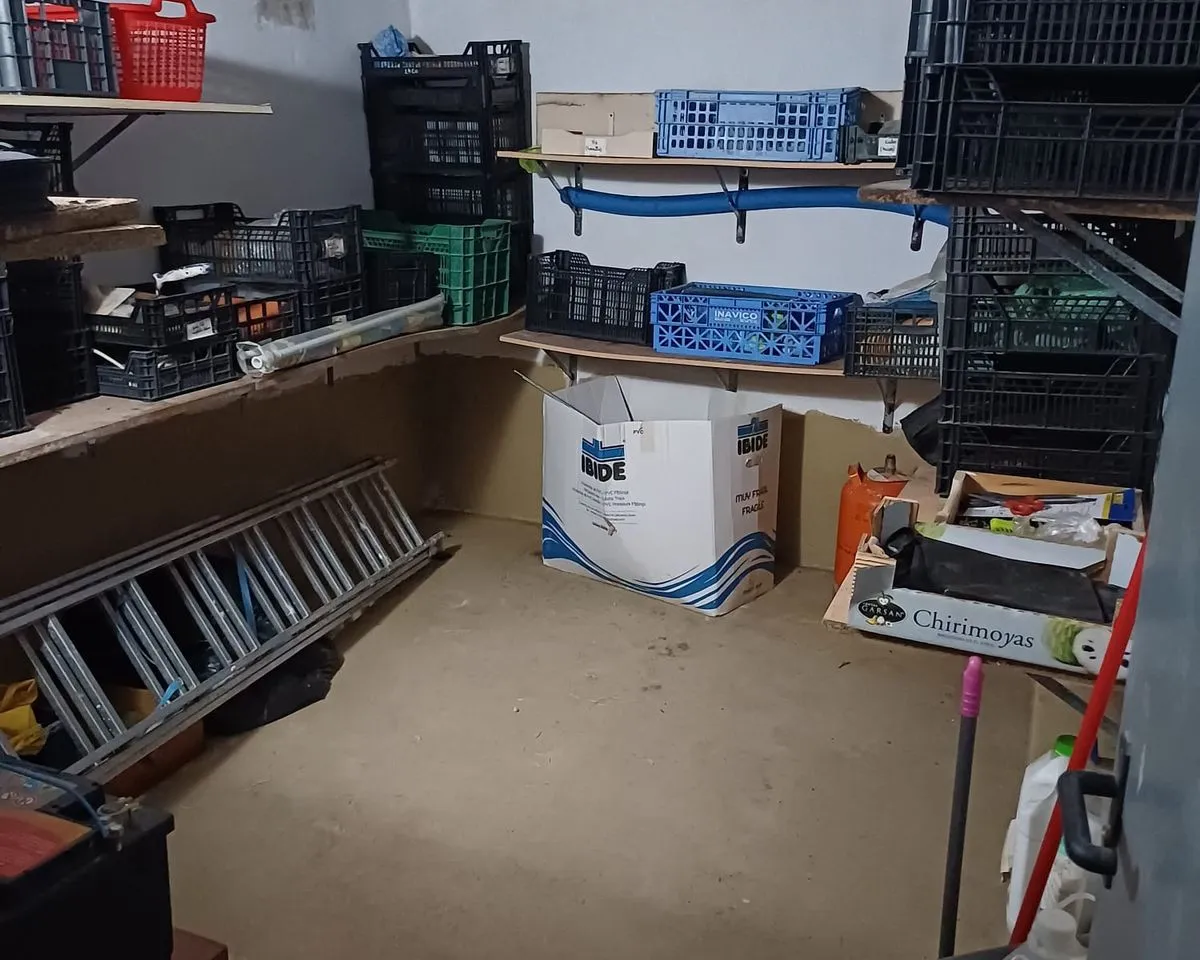 6d58a3c6-7e38-4012-a0e3-e512cf1be0dd