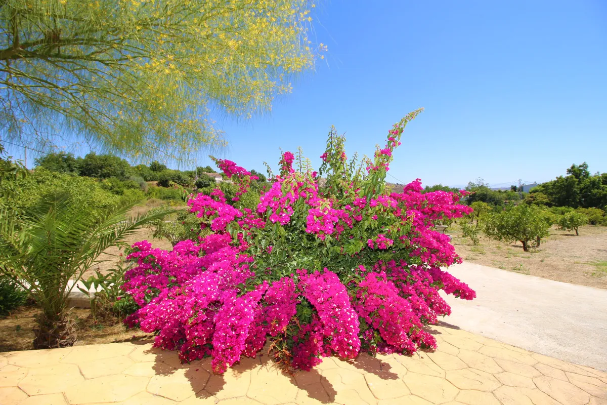 357d98cd-bcf5-4021-b37f-98b3edb489d1