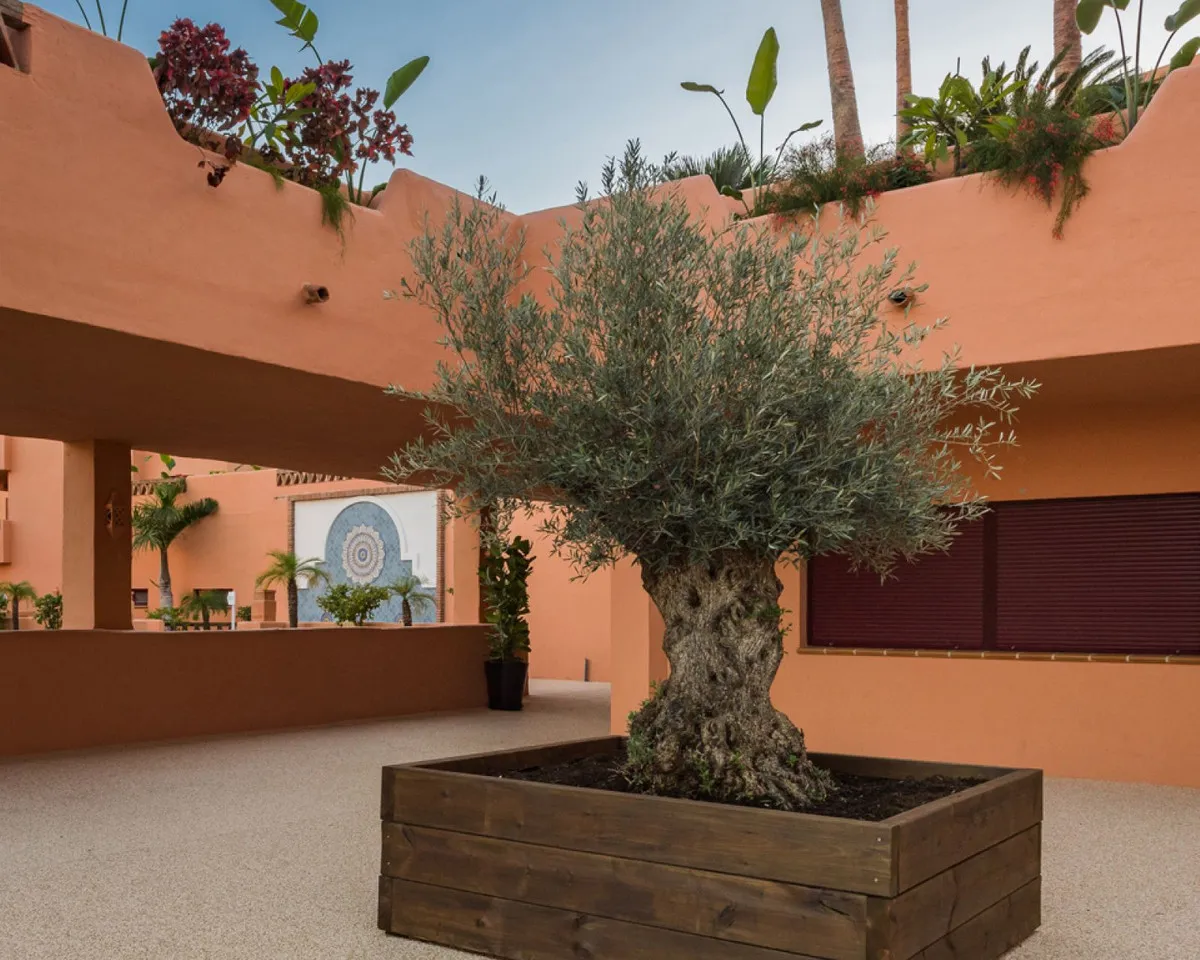 67aac379-502a-43e5-ac71-dcc3c8e85fb4