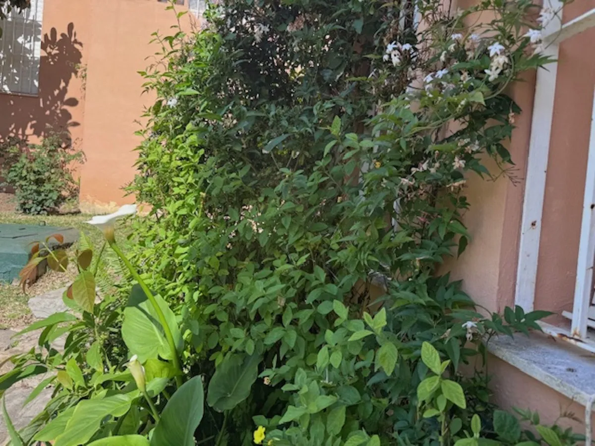 4324c4b0-91bf-45b2-9f23-7a26855a6df9