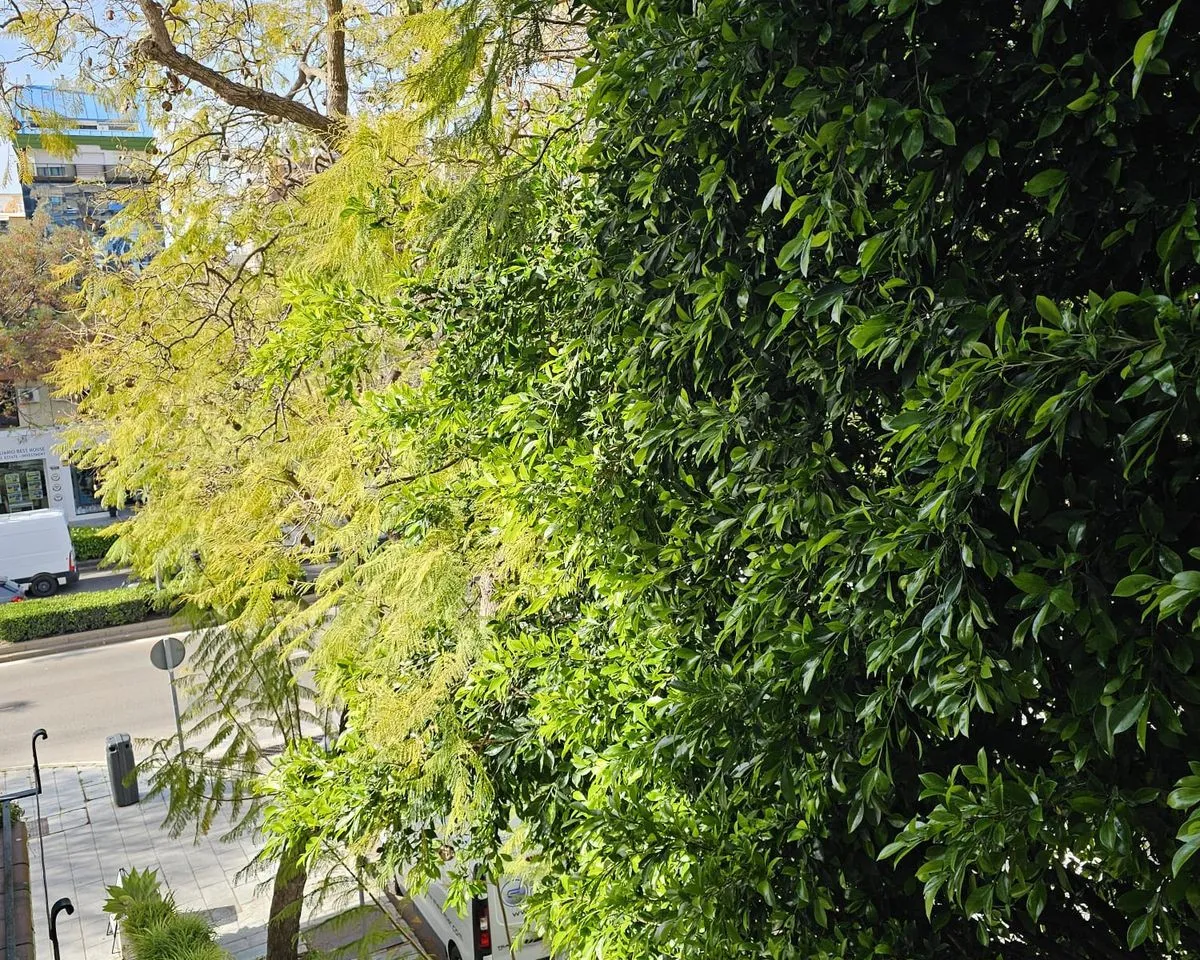 2ed00751-3e2a-4867-9548-0e141af32c68