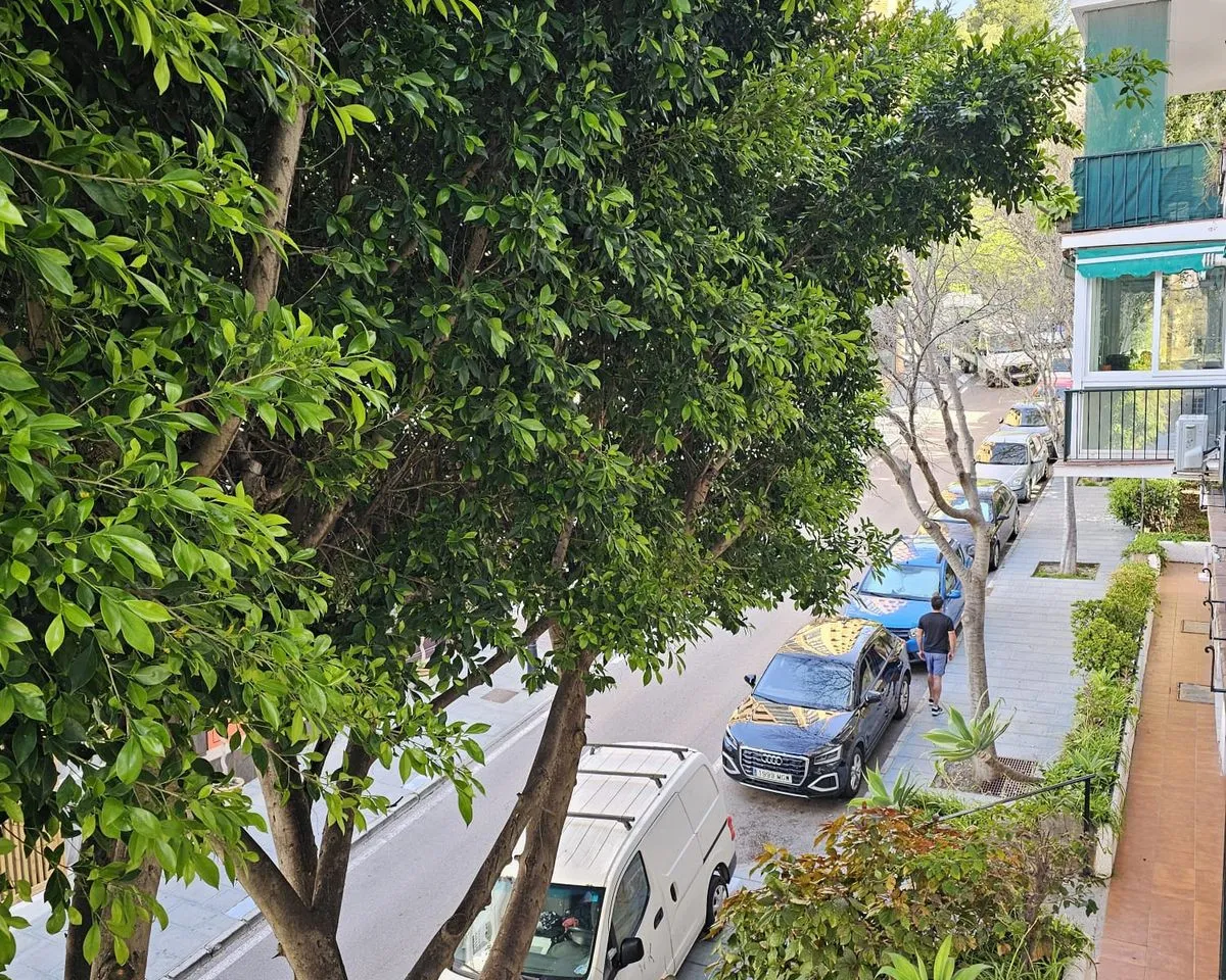 9e773ea5-acb4-4cdf-be75-9990957f7f69