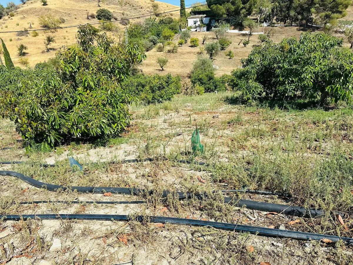 08e3cadc-21d9-4458-9733-549036bd79ba