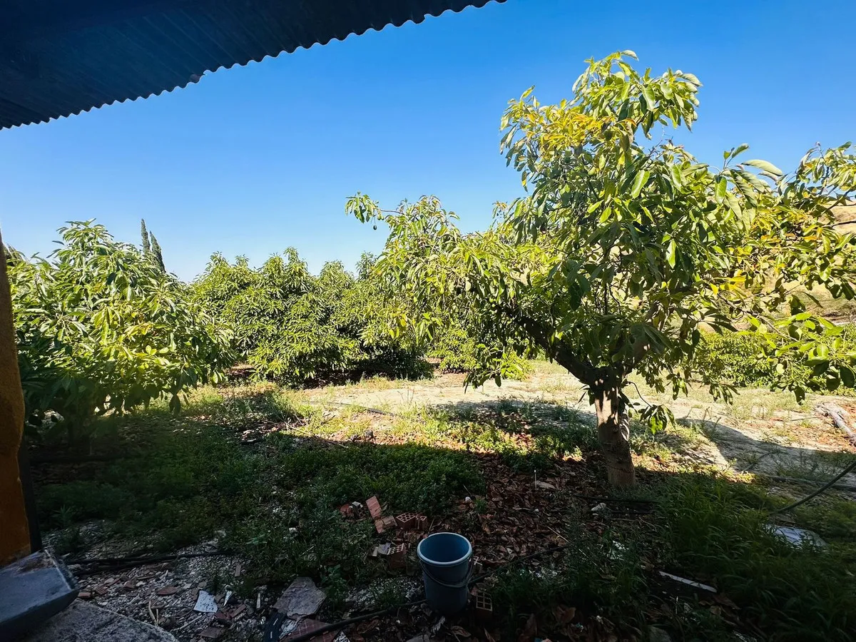 c1a12efb-b918-462c-945f-00b890f9a1e9