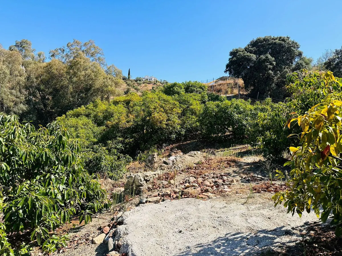 df542002-1958-4e4f-a47b-5418ab0ac6cd