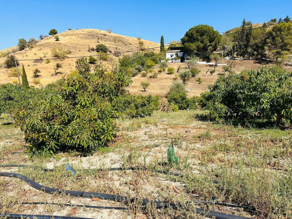 f65f001e-5fc8-4bc3-9580-77e4a94b24fa