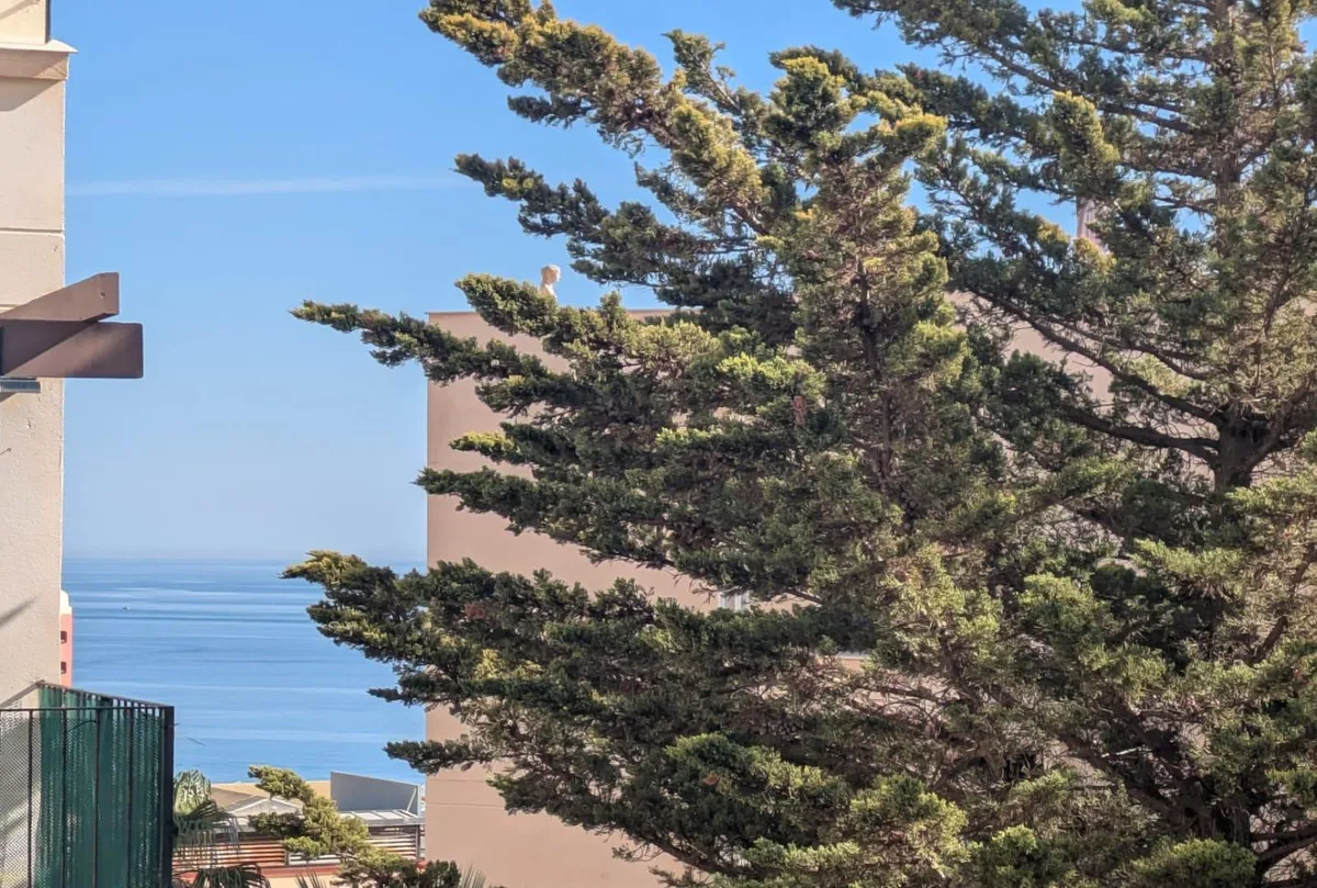 215bf09d-54f0-4fcf-b361-7f44039bca87