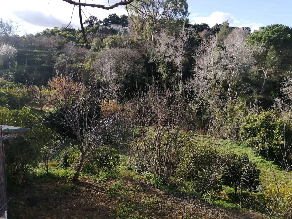 f44804ec-657e-4a9e-ac3e-9f319c134bec