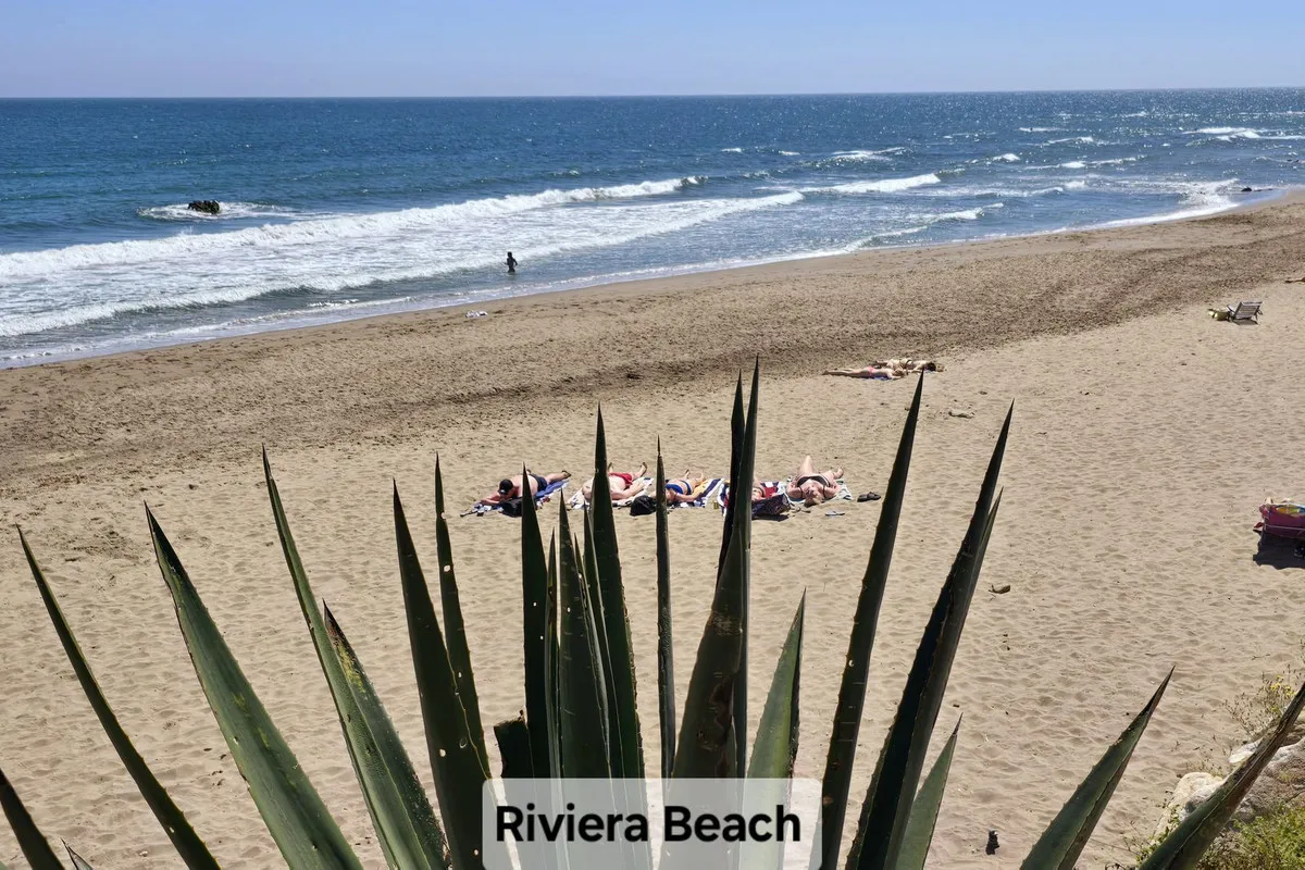 bf8bc96f-3761-45fb-8bde-bfdbb6ccc039