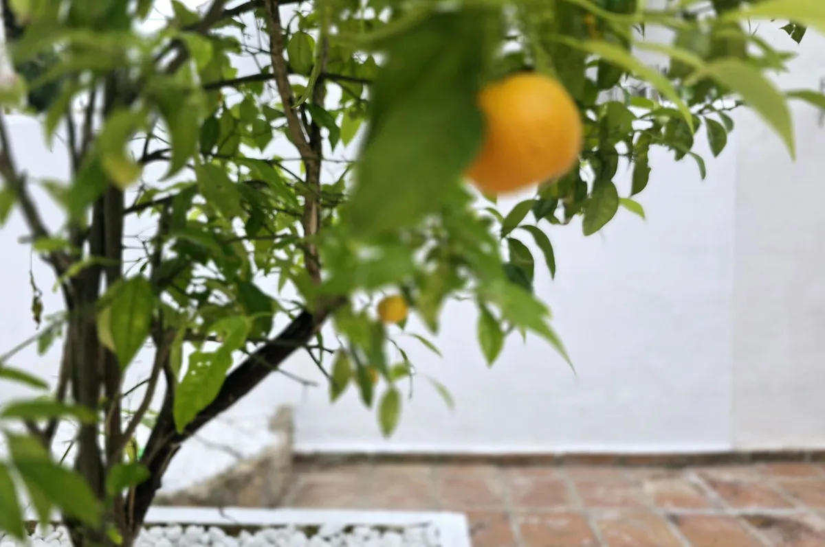 f28189d4-25f6-4756-bda2-fc86a97c0362