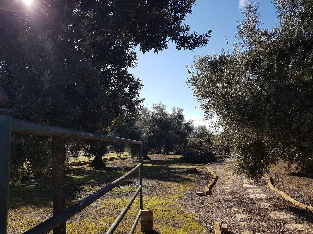 1a23ecd6-d720-4d8d-95cf-0a97980af669