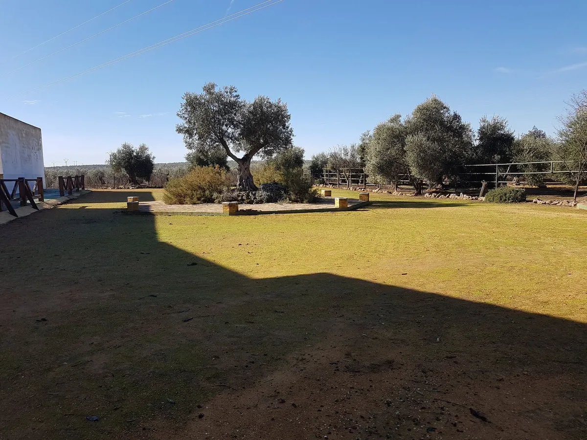 7c5a24a4-54c7-4069-a35a-988e38632376