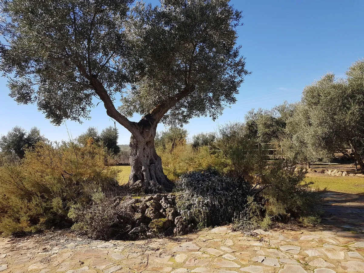 896c6b1f-0101-46c6-b7d6-4336b1c84d8a