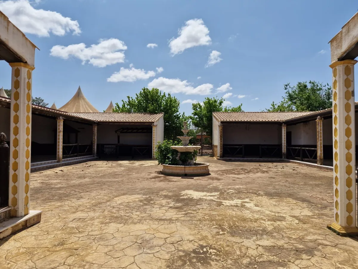 d97aacc9-d9c9-4bae-8884-7a76568ecac6