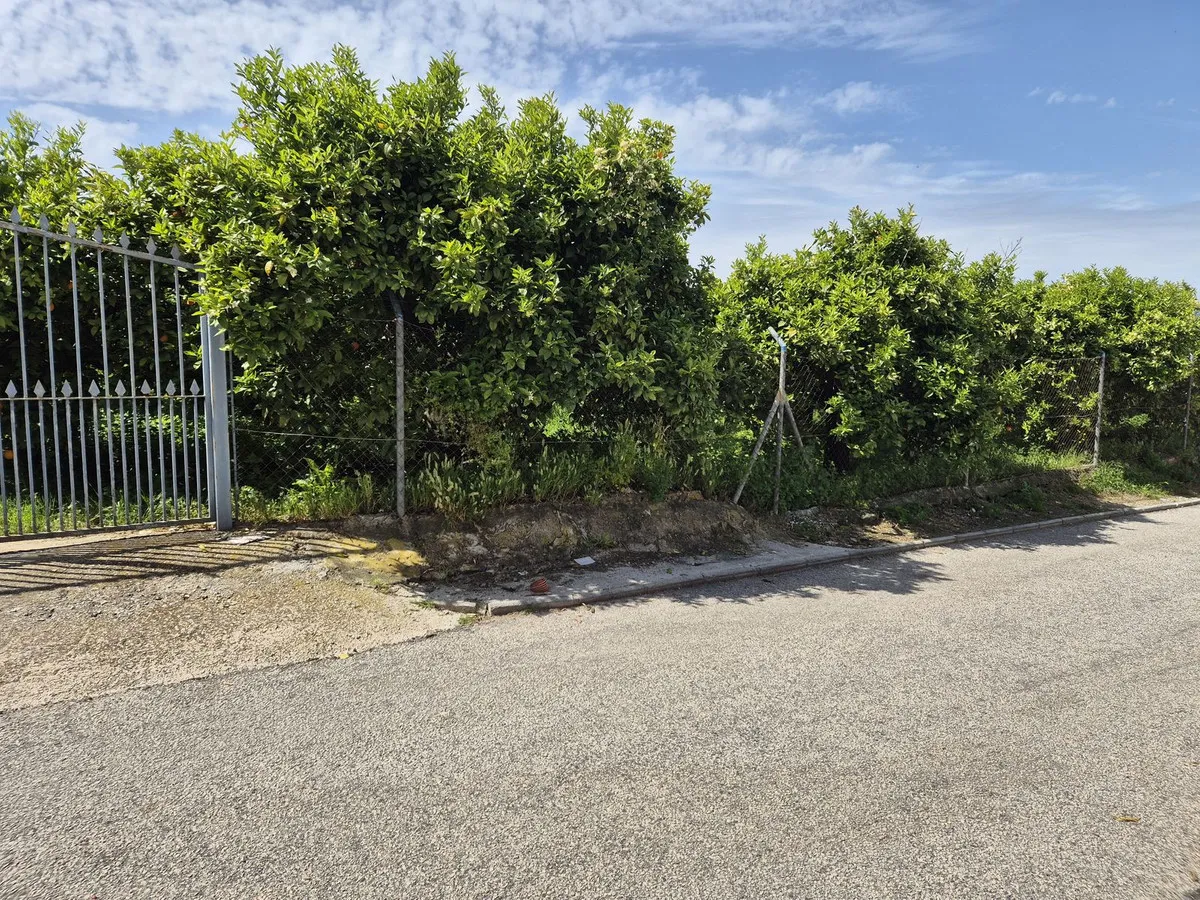 be9f1b27-2e74-43bc-91fd-8a792d06cdf0