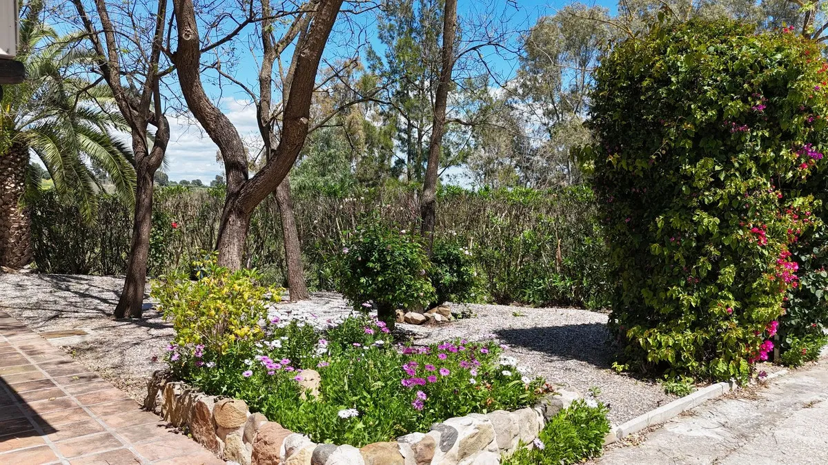 a20a097c-abce-4e76-bb15-18781dbdde98