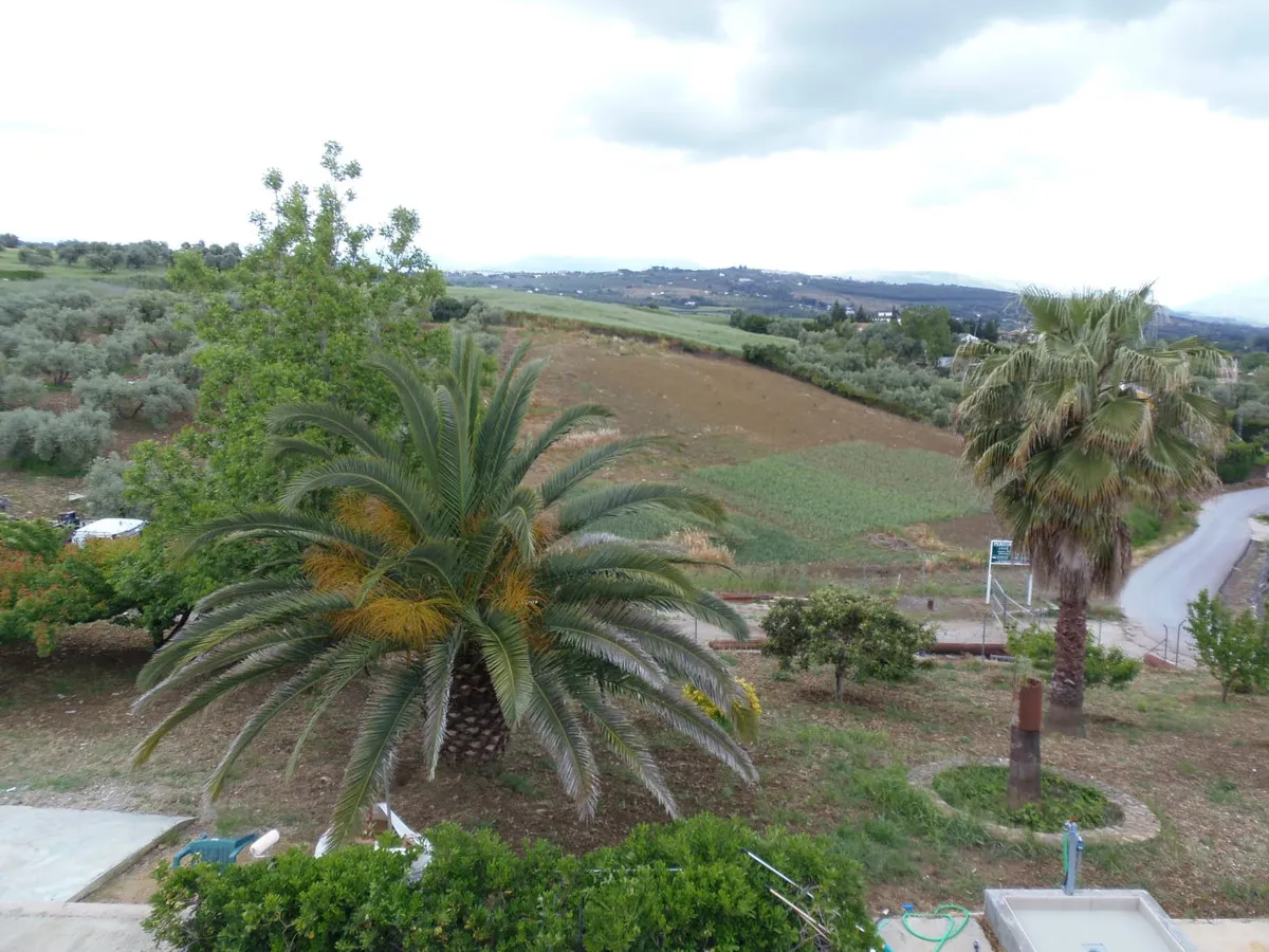 3a2a8662-310e-4843-a3d1-106fa3a118b4