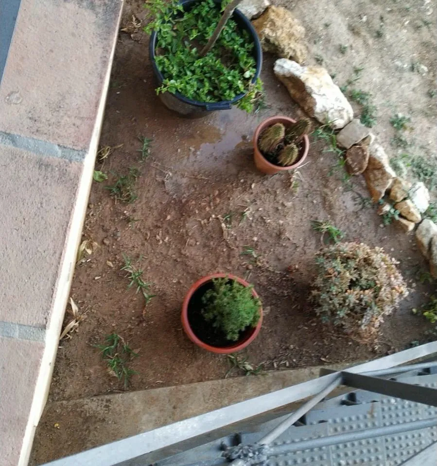 31f96c30-c56d-4777-b702-85f42fa02c5f