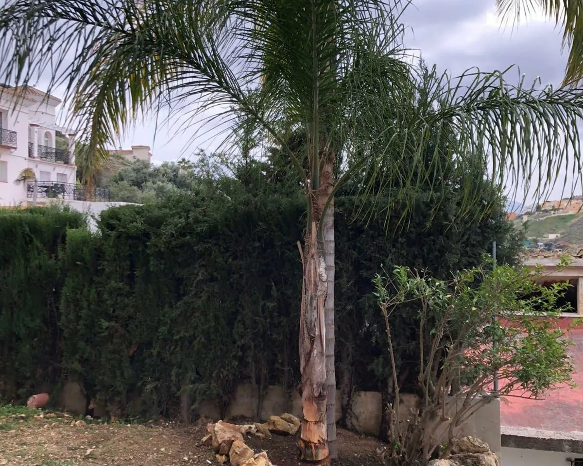 5db2168c-b487-4a9f-8a4d-353d6ab2166b