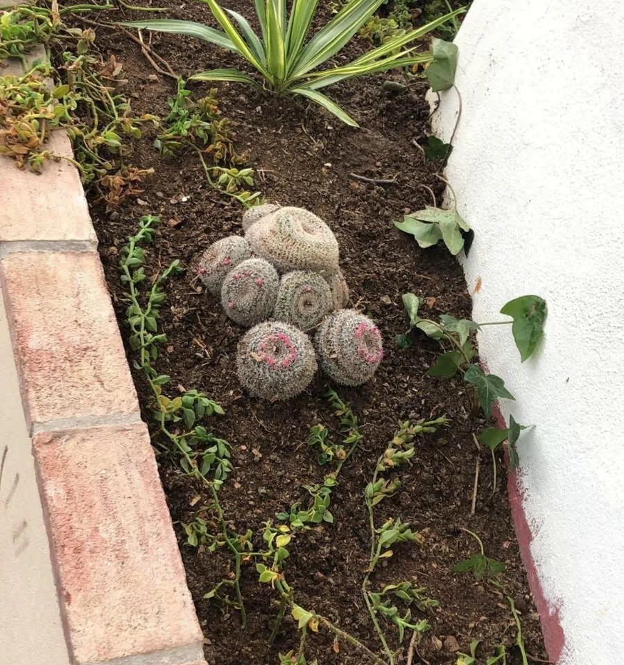 c4031cca-9988-40bc-9816-f1c8dc909881