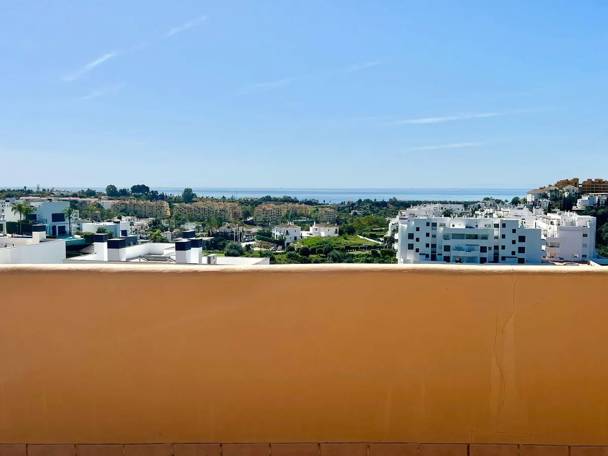 b9b9e24e-656f-44cf-badd-a820369202d4