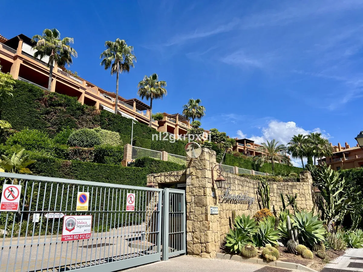 d8074829-ca38-4ce8-8ab5-78c50cfa8616