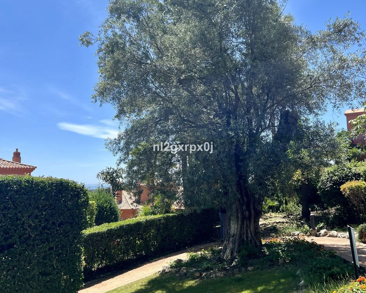 df9c581d-47e1-45d9-8953-d88b23252386