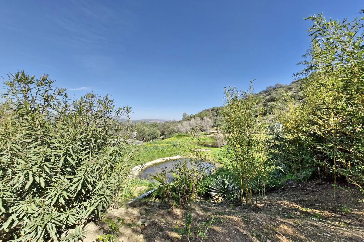 0092df4c-0236-4b5b-be15-296bb5f59f09