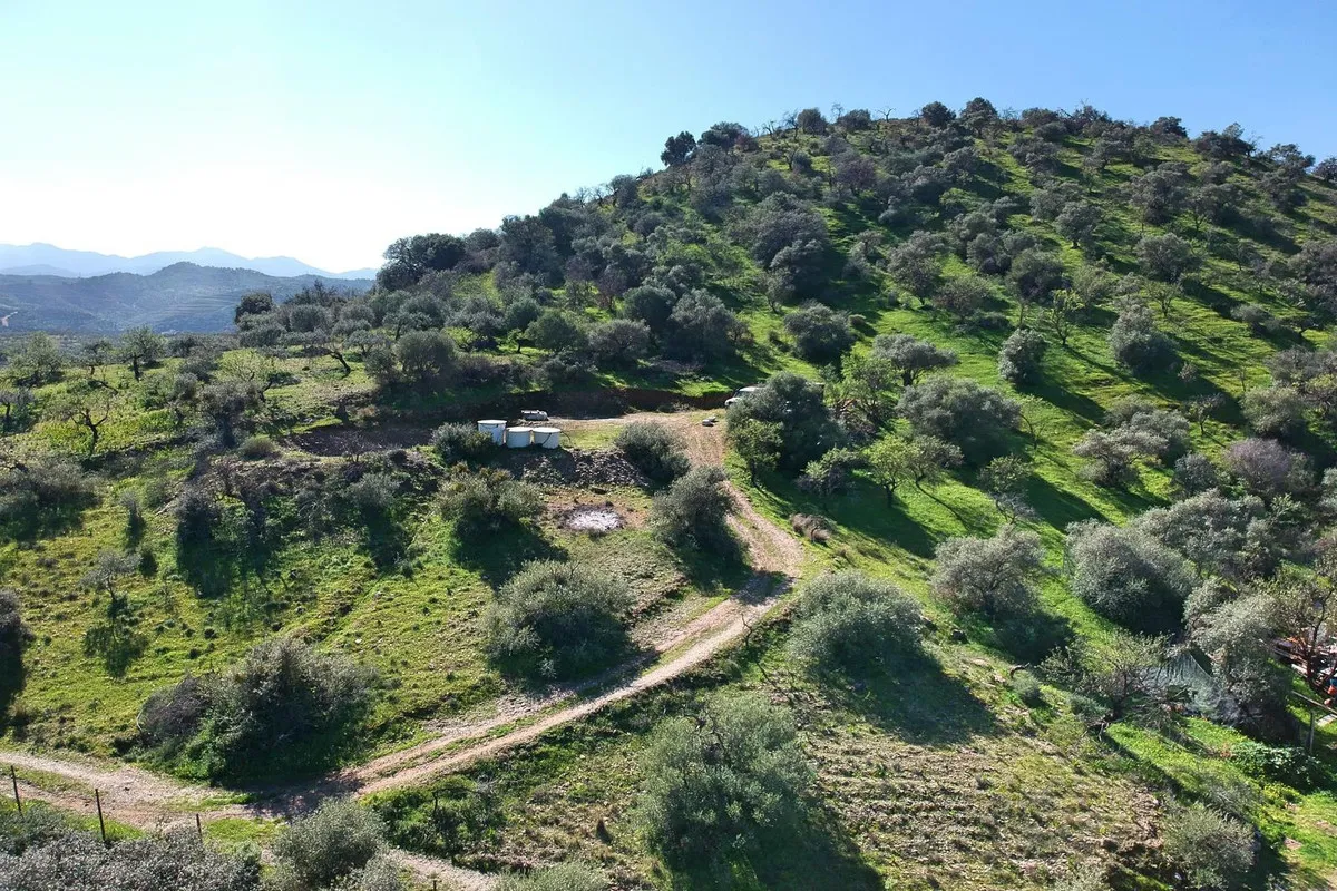 0c737c5e-87d5-4a9b-8e6d-be197f5857c9