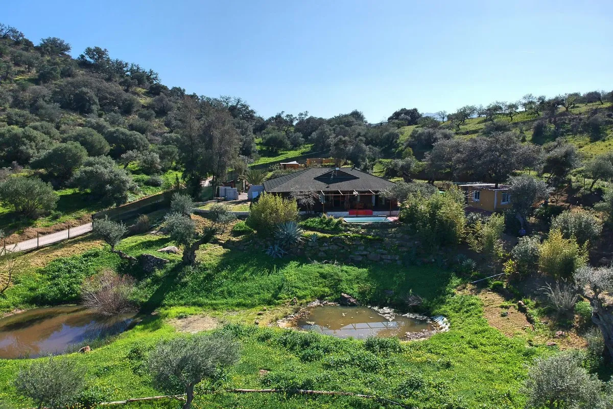 1b5f81dc-26bd-4b0c-95b2-94bb5758a92a