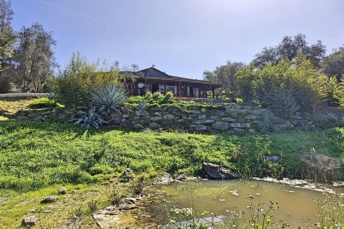 31cf3bfe-196a-4721-b2f6-f02df968e00a