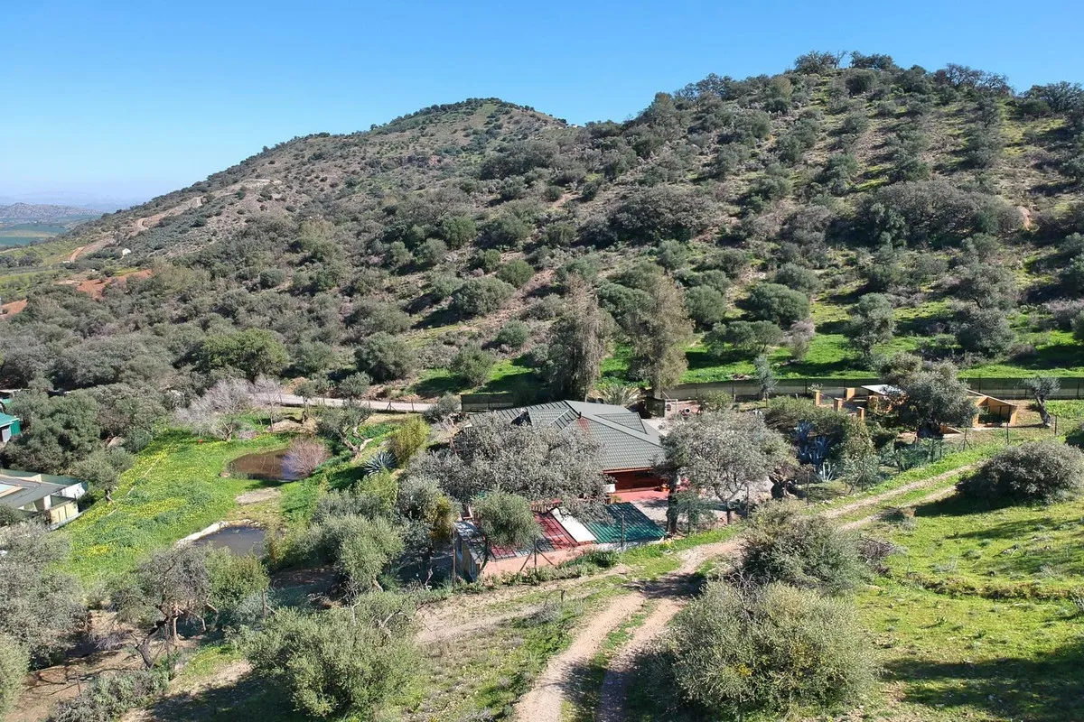 54c9e987-3e37-42c5-9ef2-764f4855d6c5