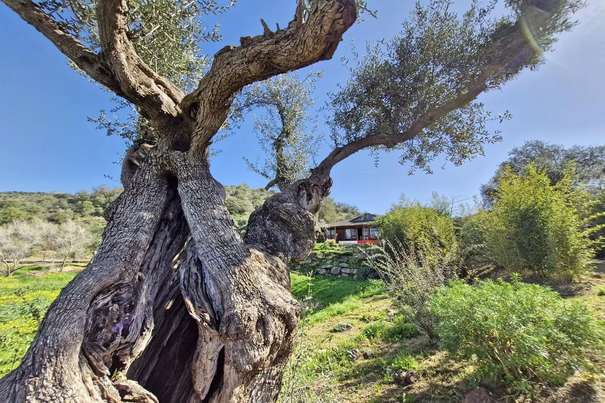 6d9c4c04-755b-4d63-ac42-5a477970d276