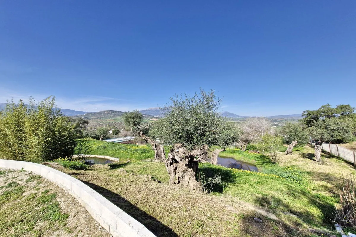 70fc1d38-cd4c-4182-a9fa-c148047df228