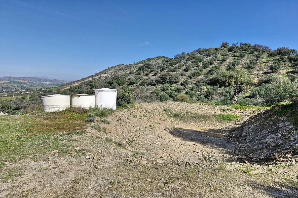 83295dfa-79f6-4d82-94ea-71618c028dc8