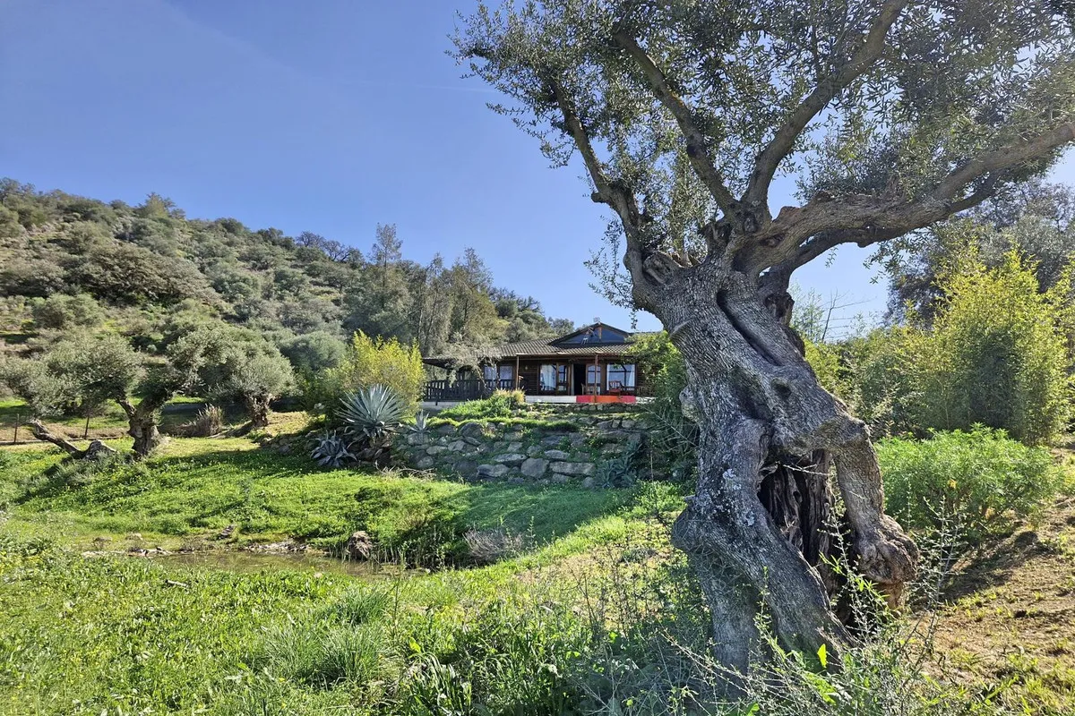 83e85051-6b42-43d1-b3d7-383d442e08b4