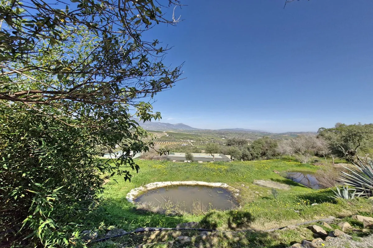 a1516d73-52d1-4e09-a9ed-33a00d095f48