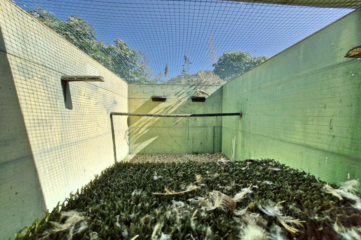 d3e4cde8-2af3-4a01-a773-660a546ea9ff